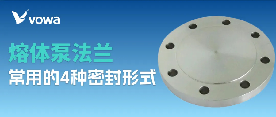 熔体泵法兰常用的4种密封形式(2).jpg